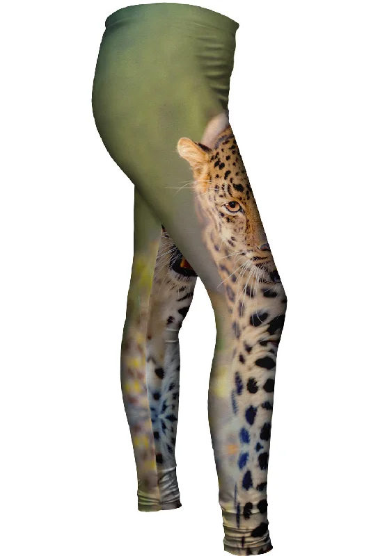 Effortless Looks Amur Leopard Jungle