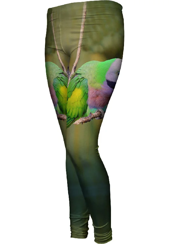 Versatile Itinerary Colorful Derbyan Parakeet