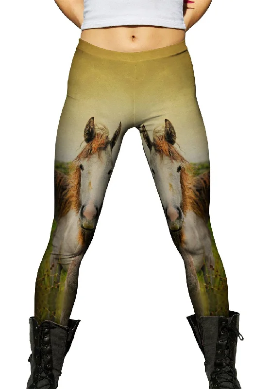 Modern Comfort Wear Duo Paint Horses