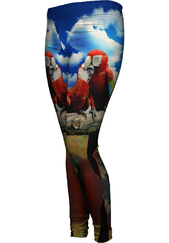 Fashion Selection Love Kiss Macaw