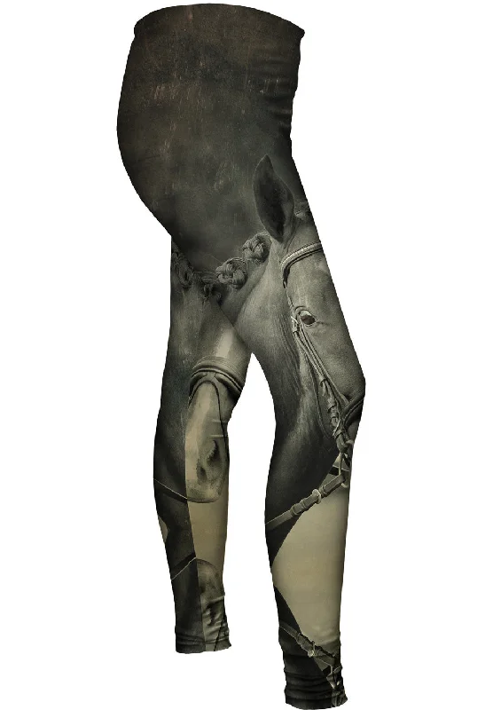 Luxury Fashion Paso Fino Stare