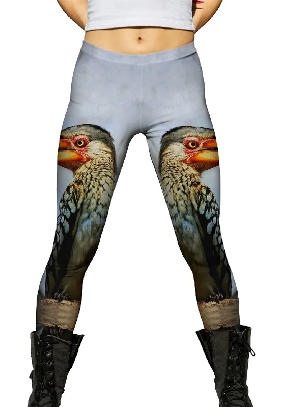 Cute Design Yellow Billed Hornbill