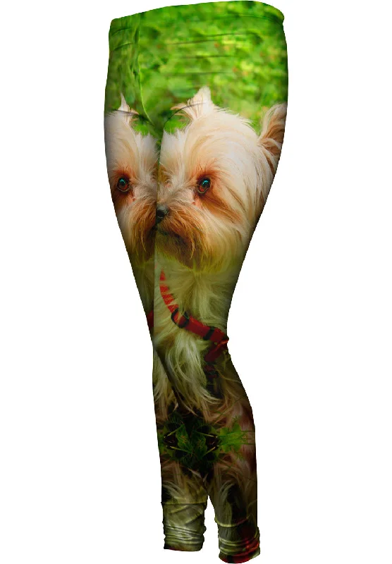Soft Comfort Yorkshire Terrier Moss