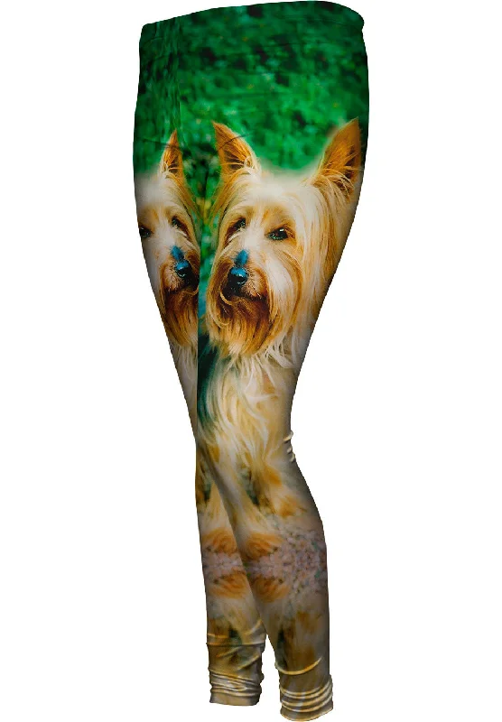 Comfortable Jackets Yorkshire Terrier